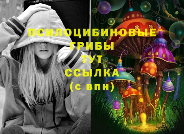 Альфа ПВП Алексин