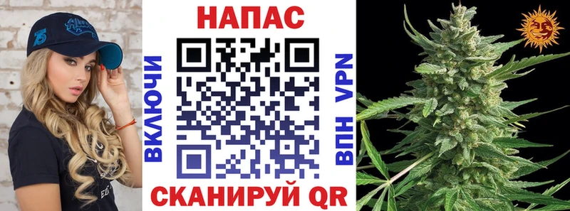 blacksprut сайт  Пласт  Бошки марихуана VHQ 
